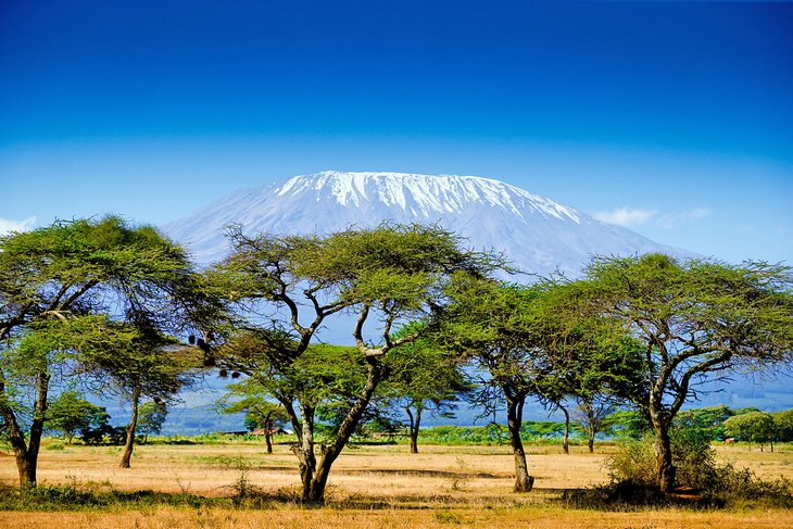 The Debt in Kenya is Overshadowing The Presidential Election in the Country