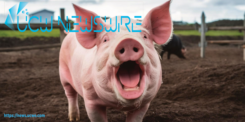 The Dark Art of Pig Butchering, Crypto Investors Face Billions in Losses Amid Sophisticated Scams