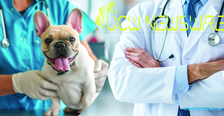 Private Equity’s Quiet Takeover of Care From Veterinarians to Human Health